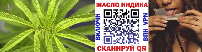 omg зеркало  Новодвинск  ТГК концентрат 