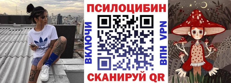 площадка наркотические препараты  Новодвинск  Галлюциногенные грибы Cubensis  как найти закладки 