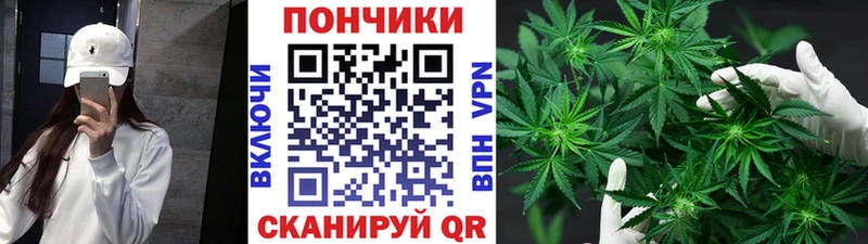 Марихуана гибрид  Новодвинск 